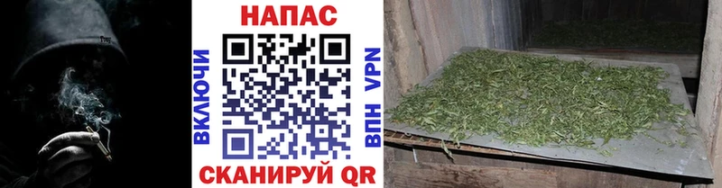 Хочу наркоту Наволоки Каннабис  APVP  МЕГА сайт  МЕФ  Гашиш 