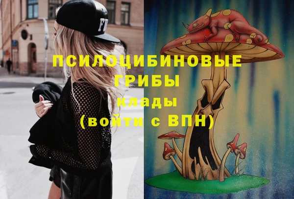 индика Алзамай