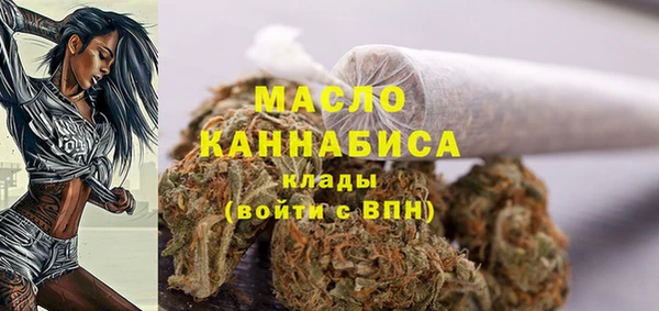 шишки Вуктыл
